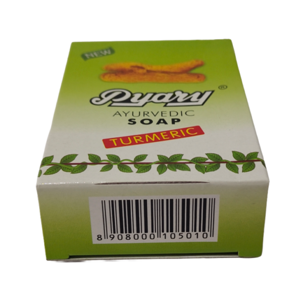 Pyary Ayurvedic